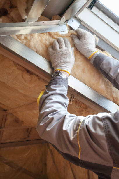 Best Energy Efficiency Solutions in Louise, TX