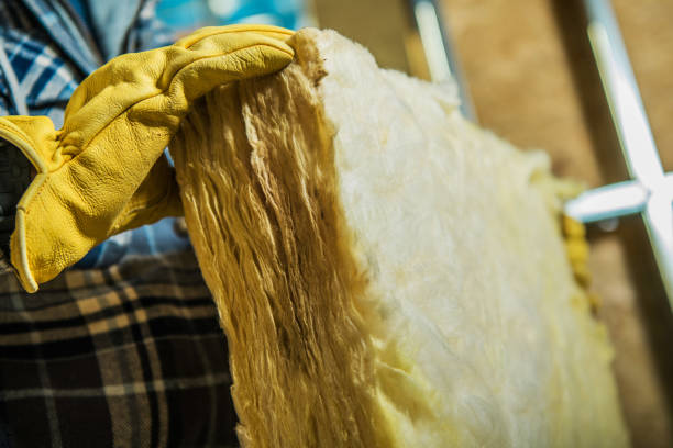 Best Types of Insulation in Louise, TX