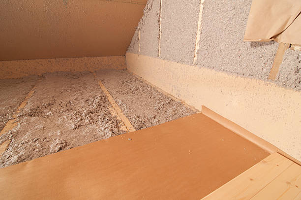 Best Insulation Installation Services in Louise, TX